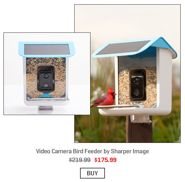 Our Holiday Preview Catalog is here! Sharper Image